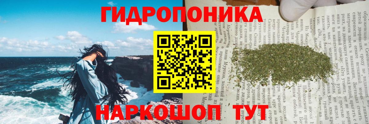 Северск  Шишки марихуана Amnesia  Вход с VPN  Конопля MAZAR  Бошки марихуана индика 